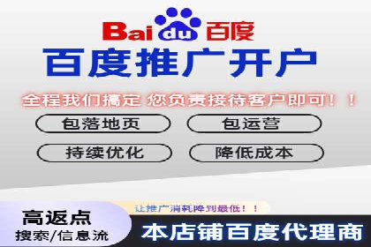 百度搜索结果优化：SEO推广的经典案例